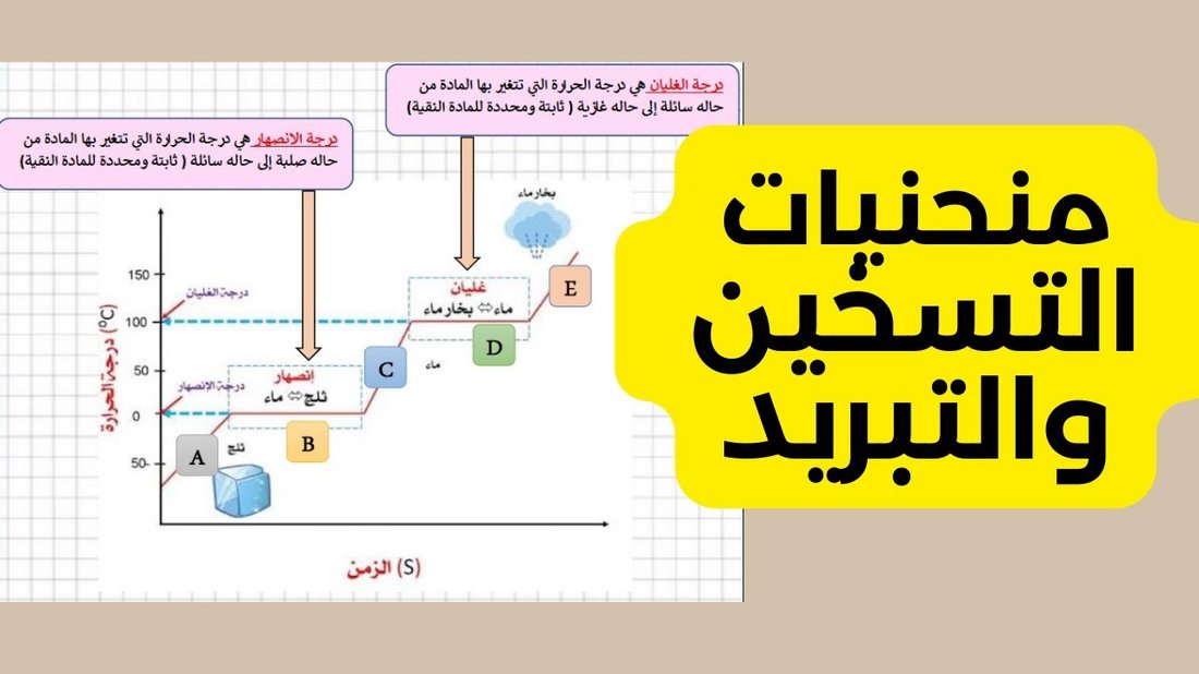 تمرين يومي لمدة ٥ دقائق يقضي على آلام الظهر والرقبة لموظفي المكاتب