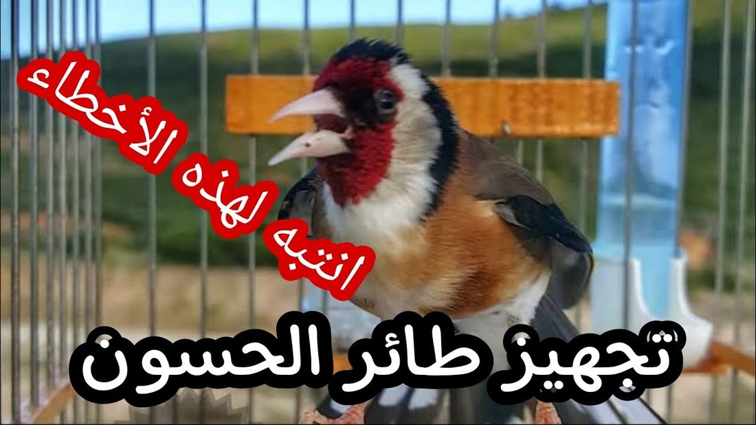 أخطاء يرتكبها المسافرون لأول مرة تكلفهم الكثير من المال