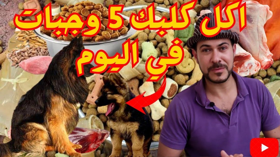 أسرار التغذية السليمة للأطفال: كيفية التعامل الفعال مع فقدان الشهية