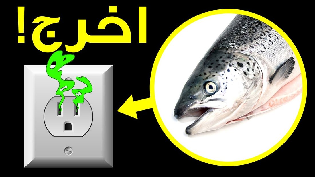كيفية جعل منزلك تفوح منه رائحة الفنادق الفاخرة دائماً