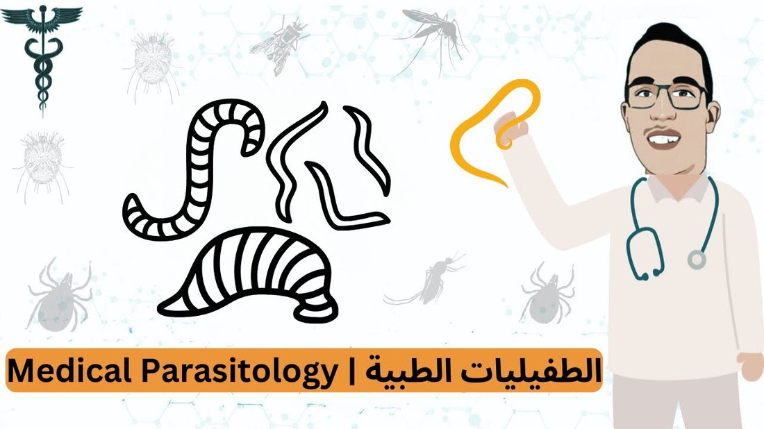 نباتات منزلية من المستحيل أن تقتلها (دليل المبتدئين المشغولين)