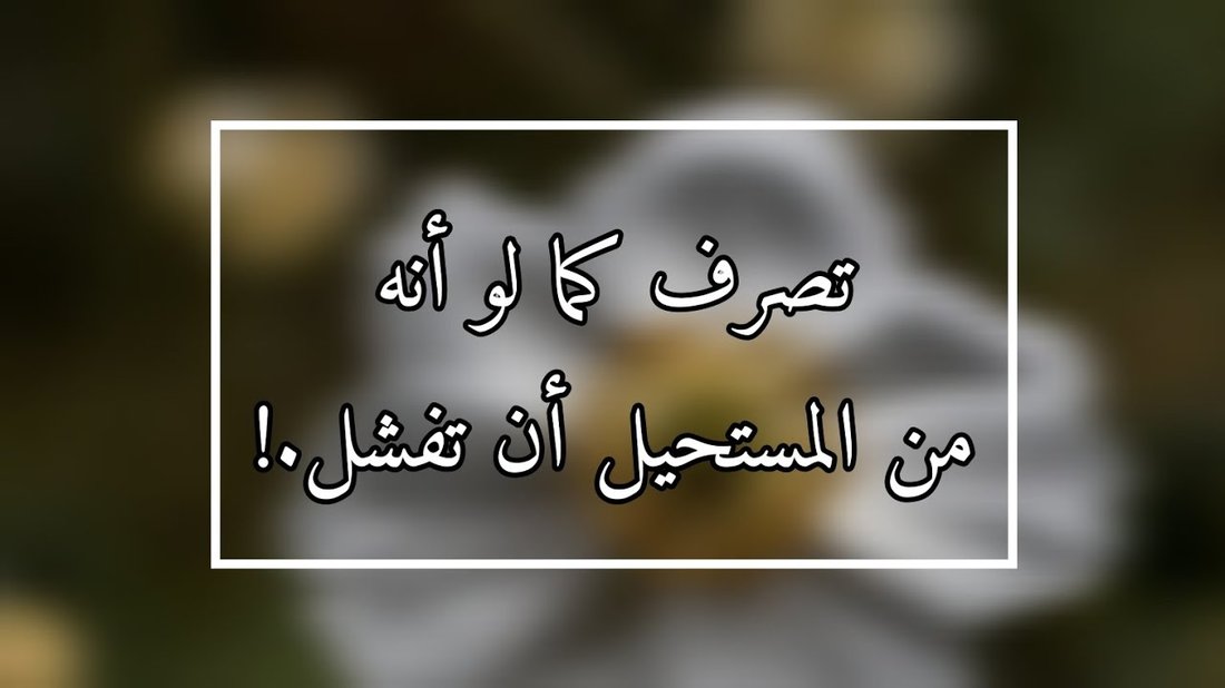 نباتات منزلية من المستحيل أن تقتلها (دليل المبتدئين المشغولين)