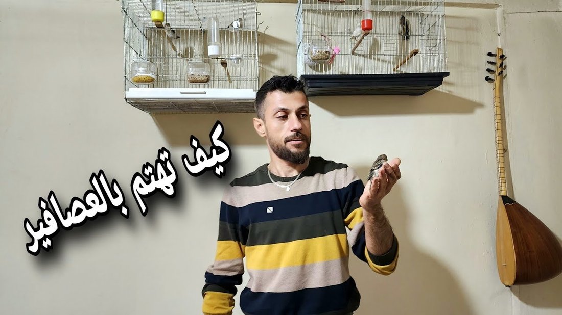 طريقة تجميد الأطعمة الصحيحة للحفاظ على نكهتها وقيمتها الغذائية