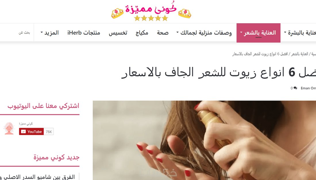 استراتيجية المحتوى العنقودي: دليل شامل لتقوية سلطة موقعك في نيش معين