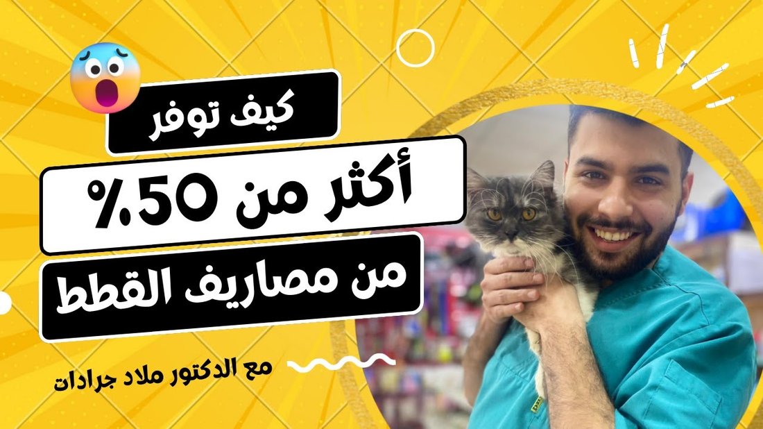 كيف توفر في تكاليف المواصلات داخل المدن الأوروبية الكبيرة