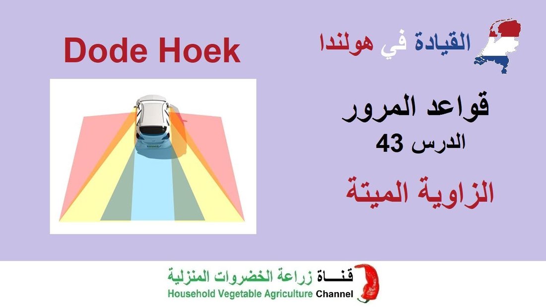 كيفية استغلال الزوايا الميتة في المنزل للتخزين والديكور: أفكار عملية ومبتكرة