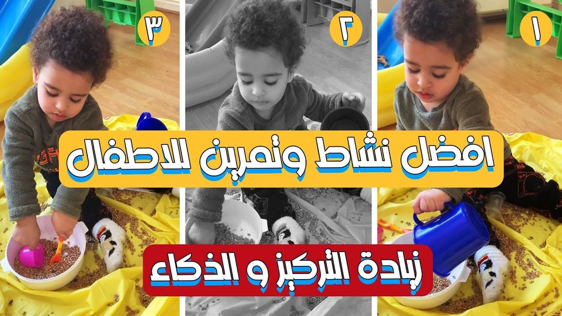أفضل الأطعمة التي تزيد التركيز والذاكرة خلال فترات الامتحانات