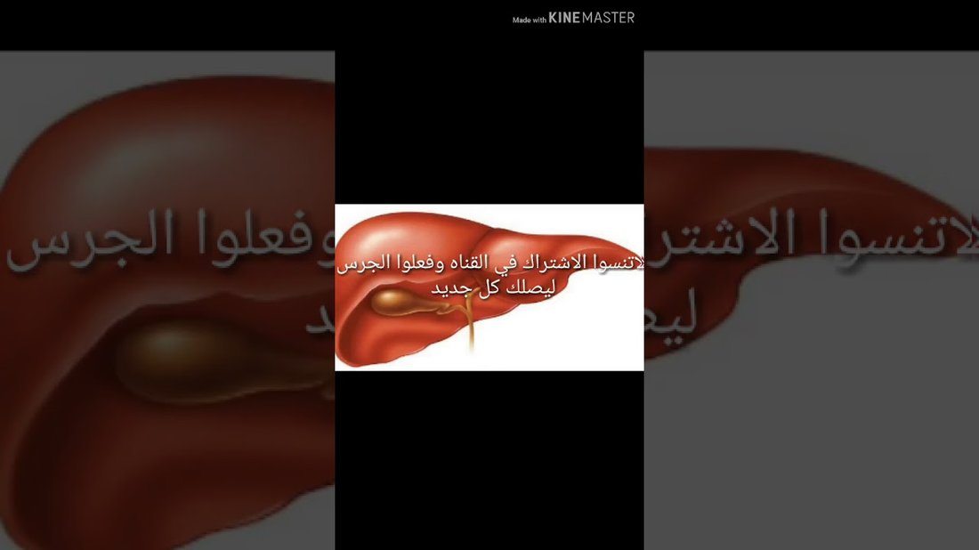 أطعمة طبيعية لتنظيف الكبد من السموم وتحسين عملية الهضم في أسبوع