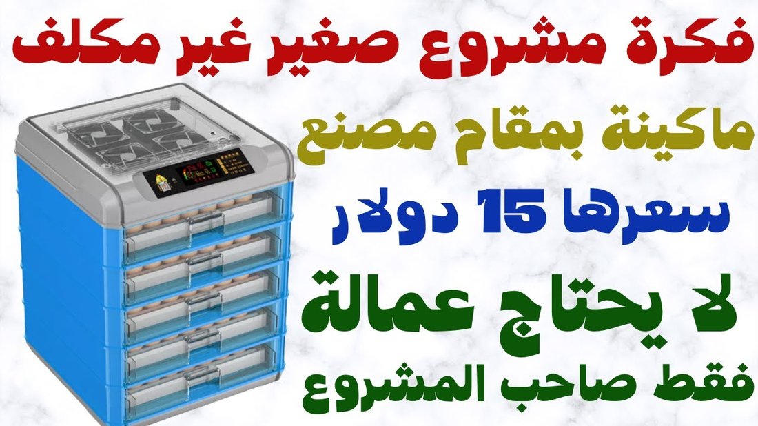 كيف تبدأ مشروعاً مربحاً من المنزل برأس مال لا يتجاوز ١٠٠ دولار