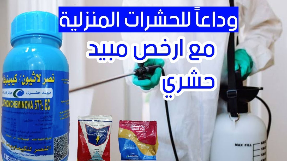 كيفية التخلص من النمل والحشرات المنزلية نهائياً بدون مبيدات كيميائية