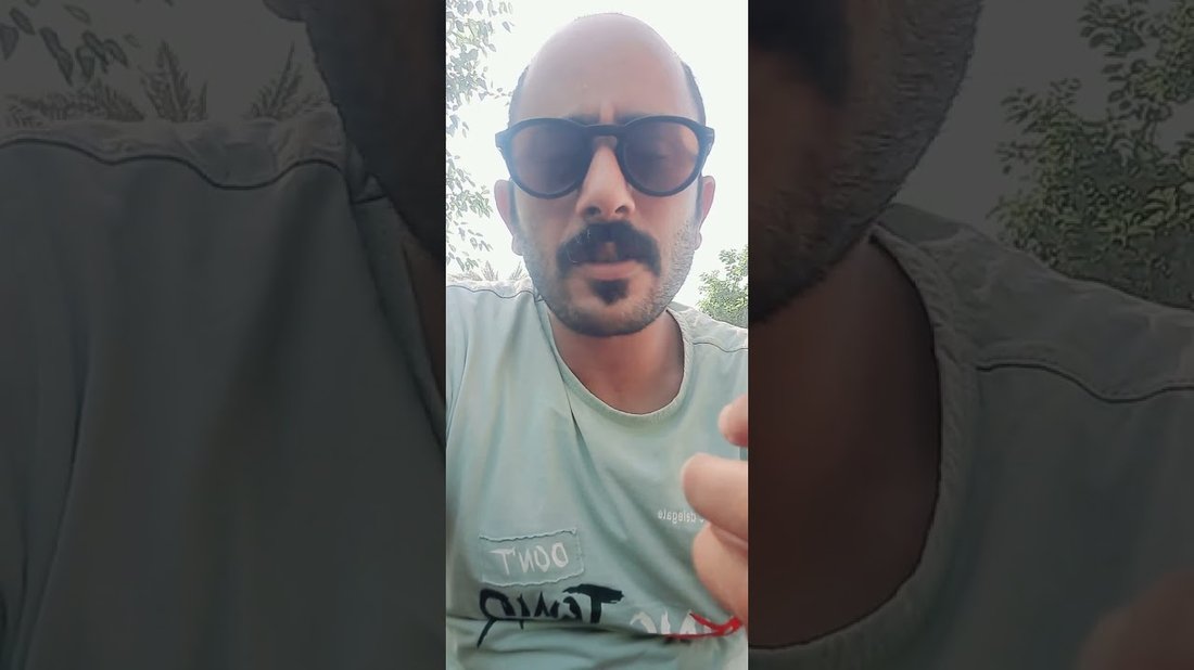 لماذا تذبل نباتات الظل في منزلك؟ أخطاء الري والإضاءة الشائعة