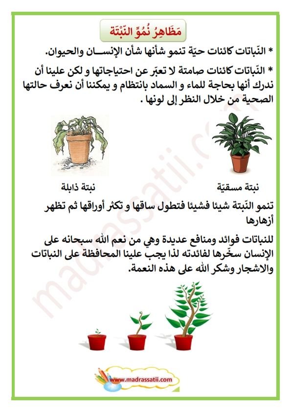 لماذا لا تنمو عضلاتك رغم ممارسة الرياضة؟ أخطاء شائعة يقع فيها المبتدئون