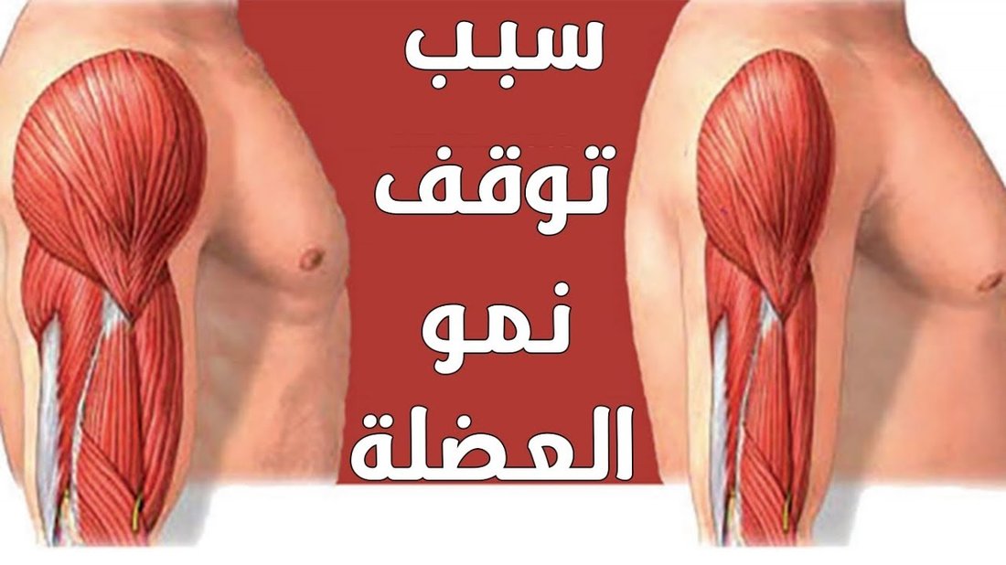 لماذا لا تنمو عضلاتك رغم ممارسة الرياضة؟ أخطاء شائعة يقع فيها المبتدئون