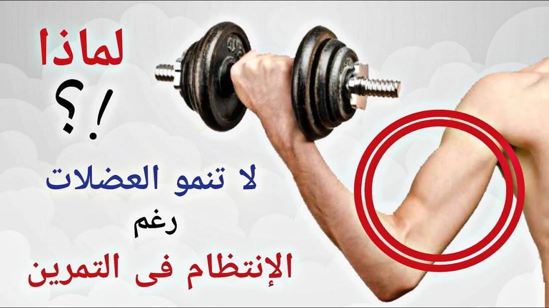 لماذا لا تنمو عضلاتك رغم ممارسة الرياضة؟ أخطاء شائعة يقع فيها المبتدئون