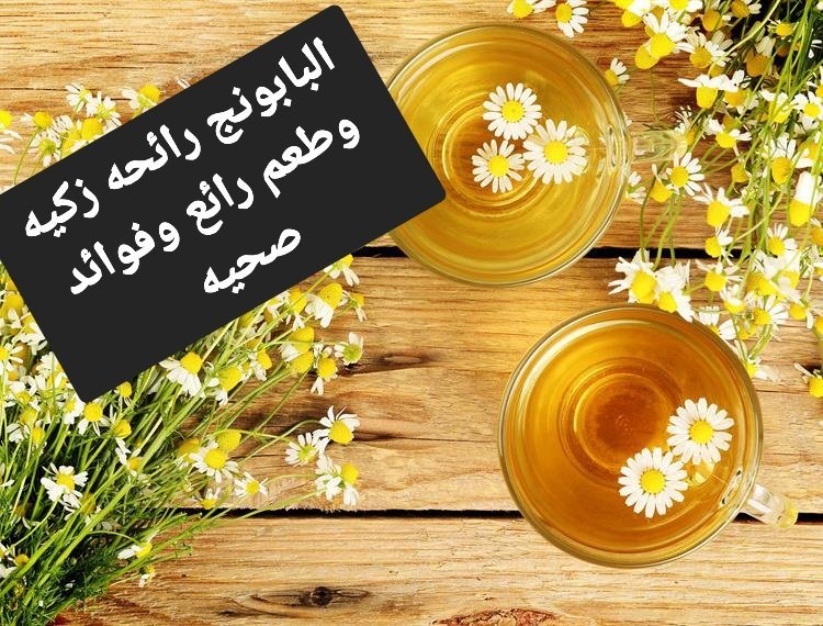 فوائد مذهلة لمشروب البابونج على صحة الأعصاب والنمو النفسي