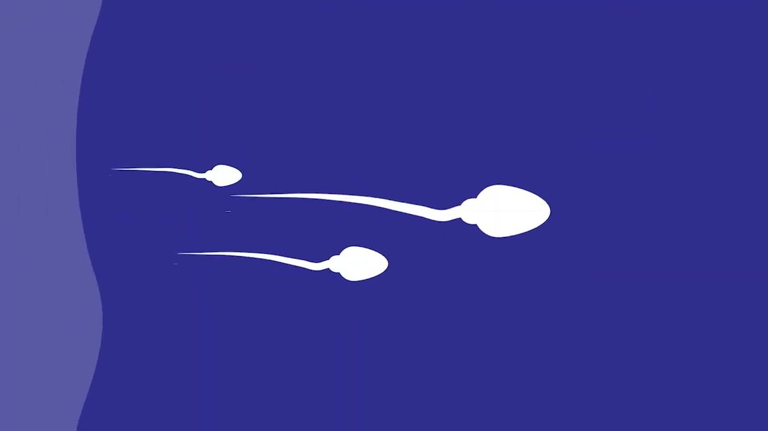 إجراءات وقائية لمنع احتراق قطع الكمبيوتر أثناء تذبذب التيار الكهربائي