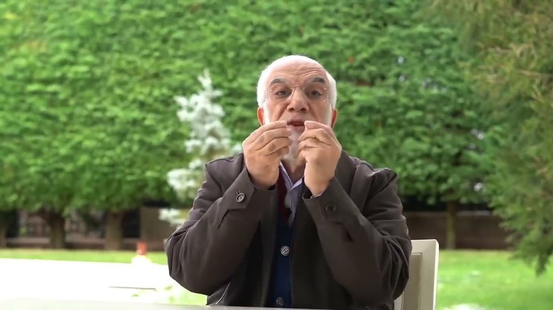 أخطاء قاتلة في تربية النباتات المنزلية يجب أن تتوقف عنها الآن