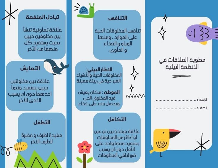 لماذا تفشل 90% من الأنظمة الغذائية (والسر الذي لا يخبرك به الخبراء)