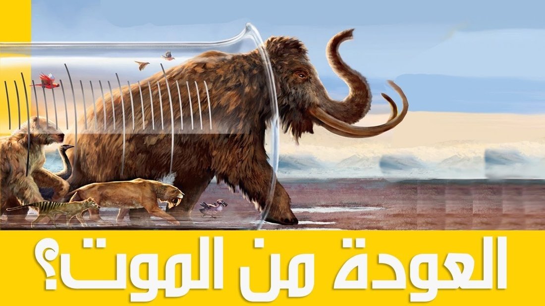 ميزات خفية في هاتفك الذكي لم تكن تعلم بوجودها