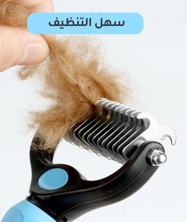 دليل العناية بالقطط للمبتدئين: كل ما تحتاج لمعرفته