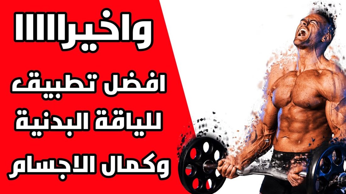 أفضل النباتات المنزلية للمبتدئين التي من المستحيل أن تموت