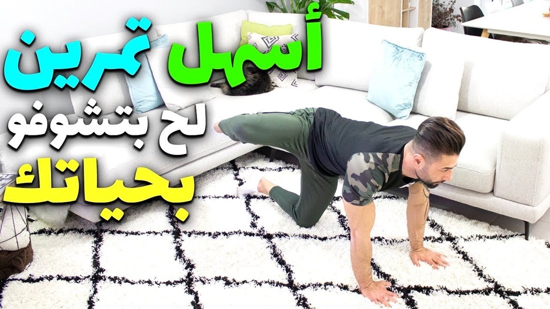أفضل النباتات المنزلية للمبتدئين التي من المستحيل أن تموت