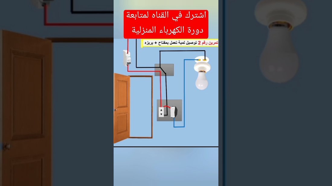 أفضل النباتات المنزلية للمبتدئين التي من المستحيل أن تموت