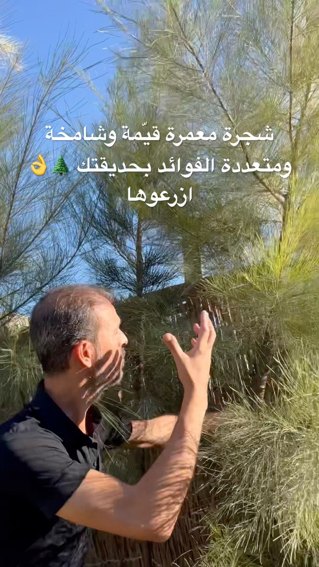 أفضل 5 نباتات منزلية تنقي الهواء ولا تحتاج إلى عناية كبيرة