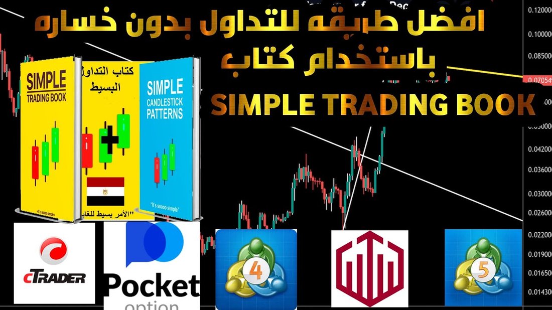[دليل المبتدئين] كيف تختار أول سيارة مستعملة لك بدون ندم