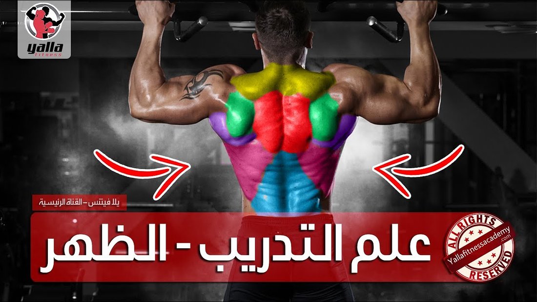 سر حجز تذاكر الطيران الرخيصة: ما لا يخبرك به الخبراء