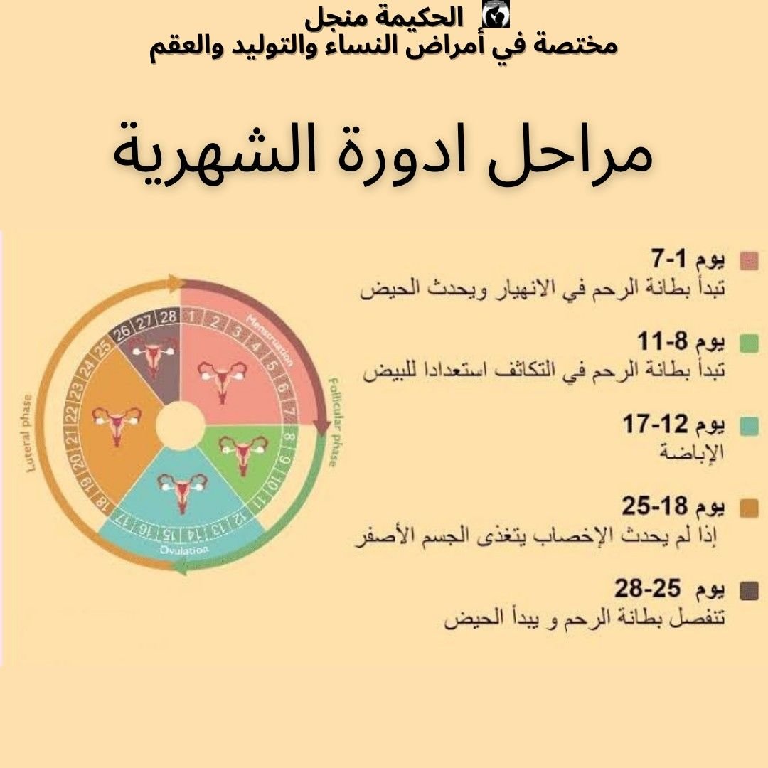 دليلك الكامل لطلاقة اللسان في الإنجليزية خلال 90 يومًا