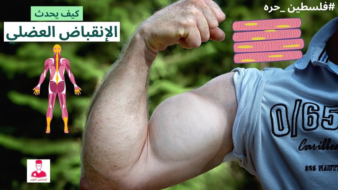 أخطاء التمرين الأكثر شيوعاً التي تمنع نمو العضلات